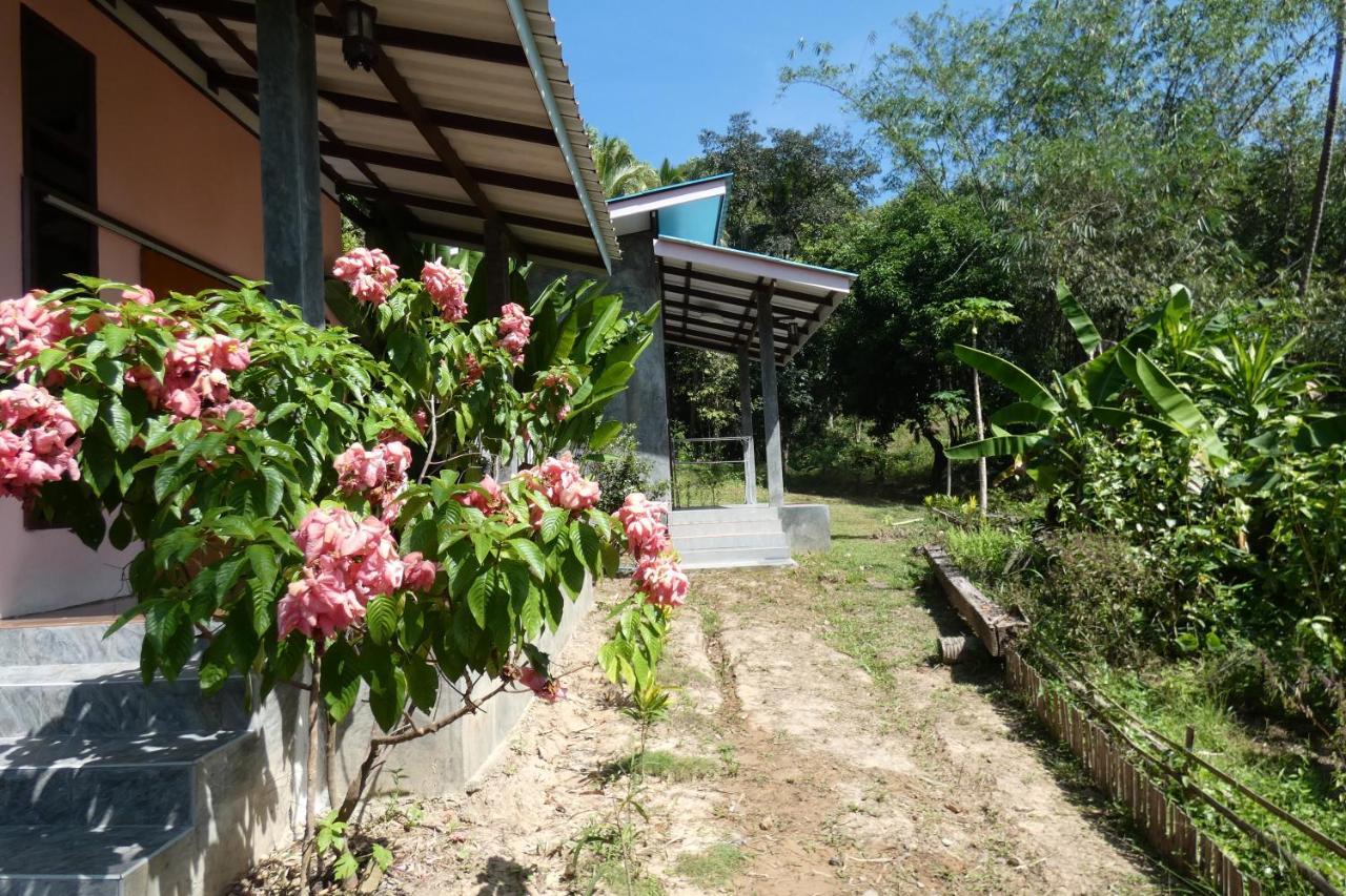 Chom Suan Homestay Ko Kut Bagian luar foto