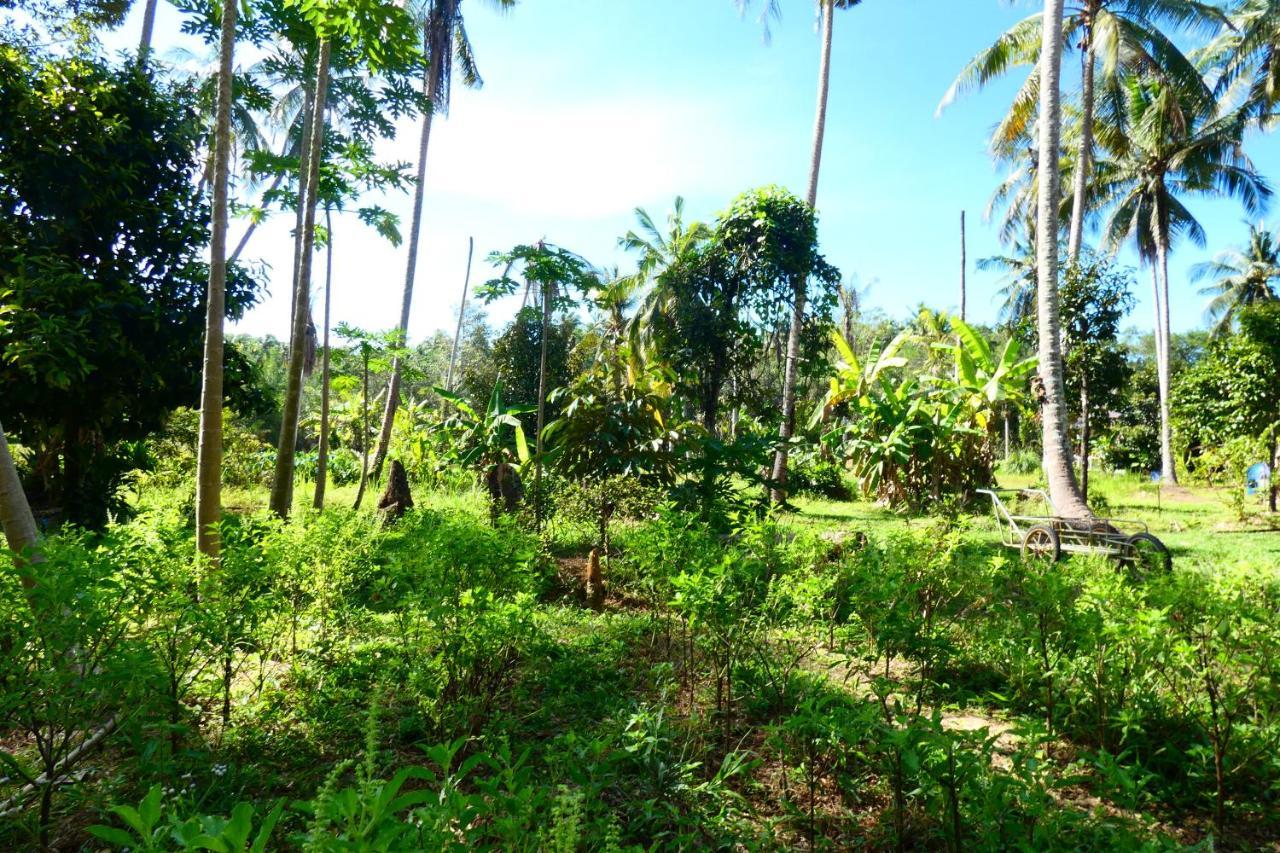 Chom Suan Homestay Ko Kut Bagian luar foto